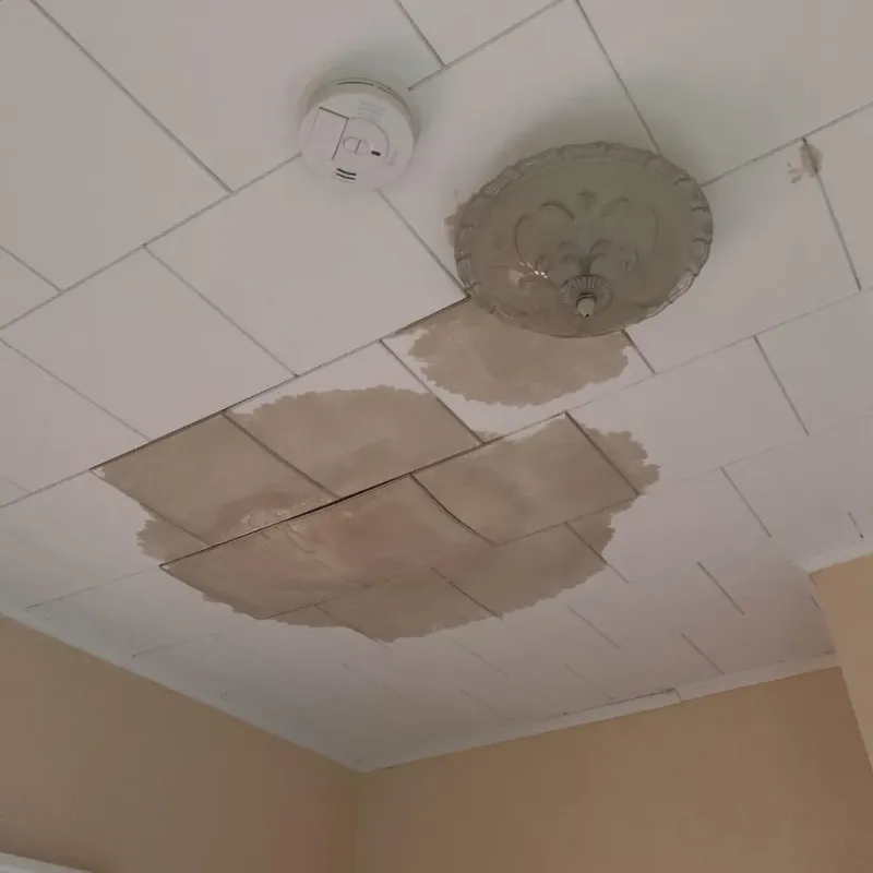 Ceiling Water Damage Repair in Lowndes County, GA