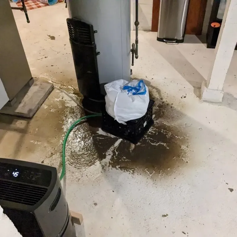 Sewage Backup Cleanup Service in Lowndes County, GA